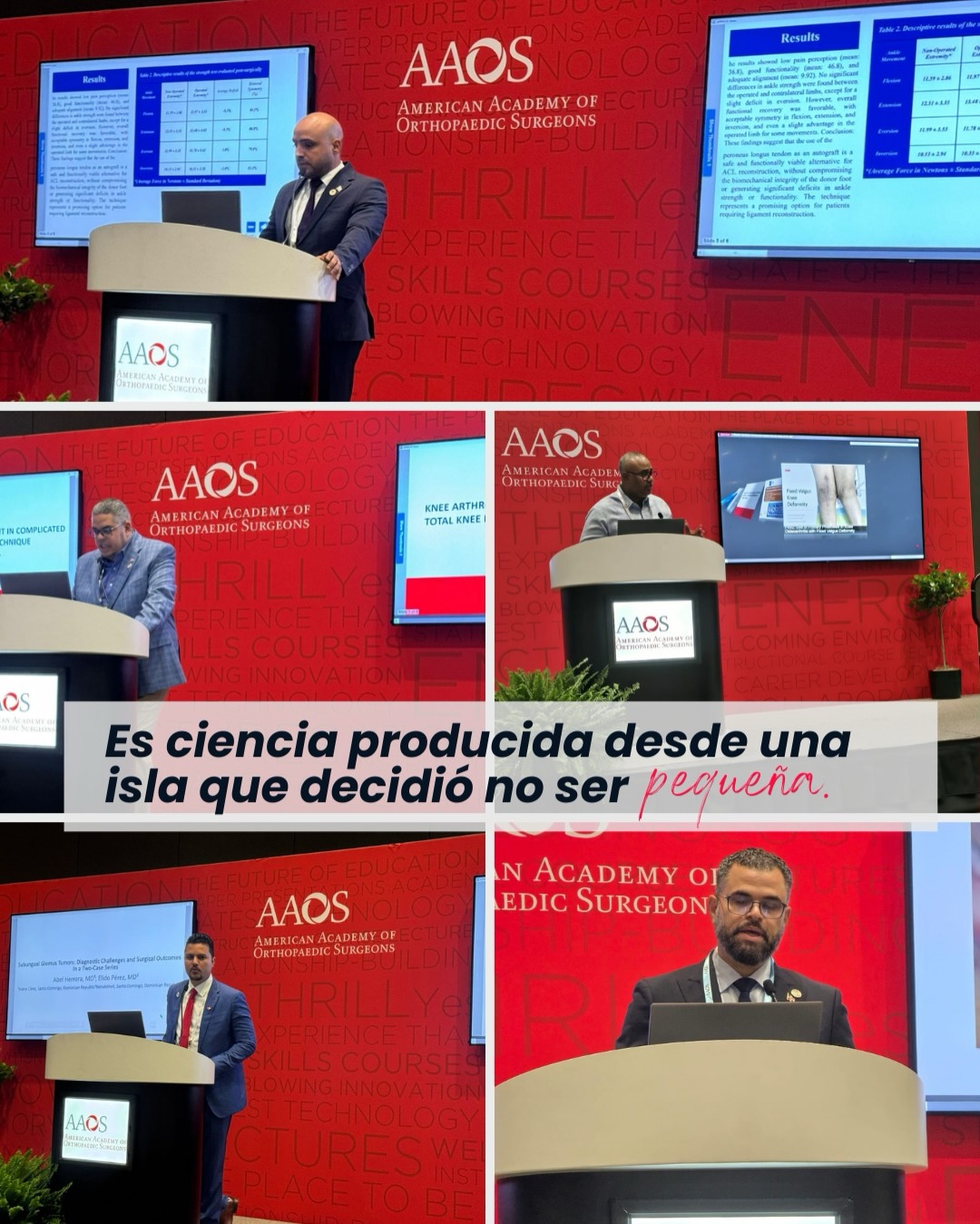 Una tarima internacional – Cuando uno de los nuestros habla, habla la República Dominicana - Imagen 3