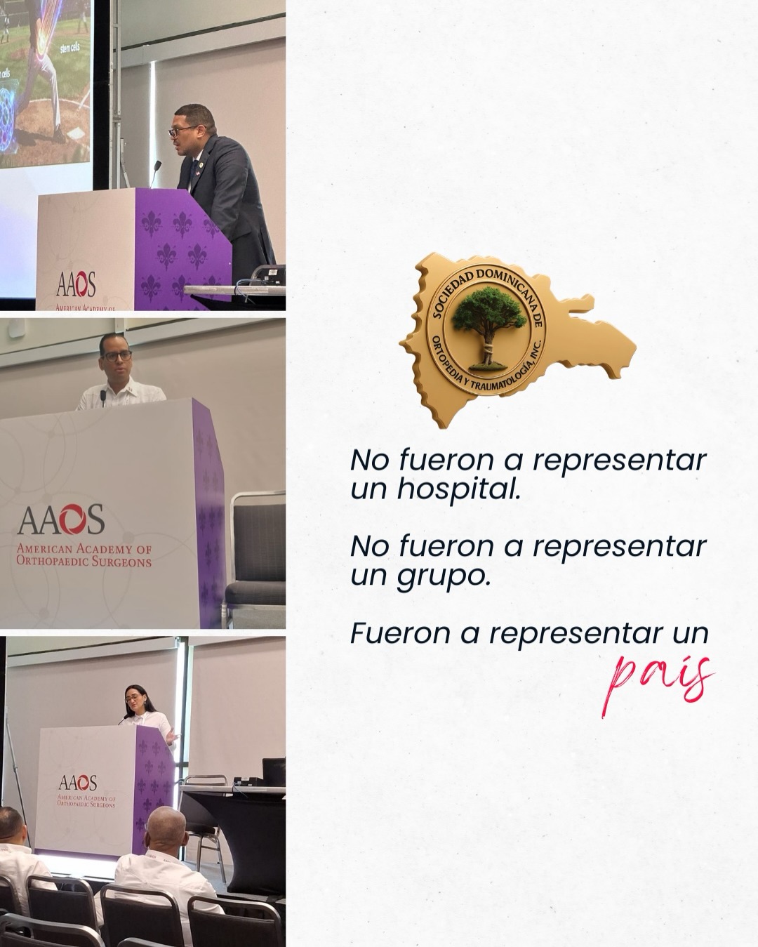 Una tarima internacional – Cuando uno de los nuestros habla, habla la República Dominicana - Imagen 4