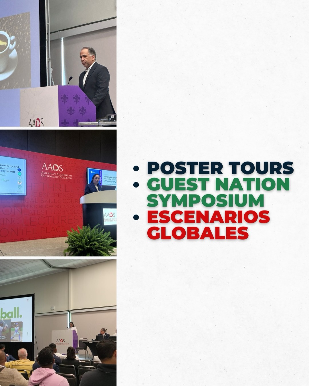 Una tarima internacional – Cuando uno de los nuestros habla, habla la República Dominicana - Imagen 5