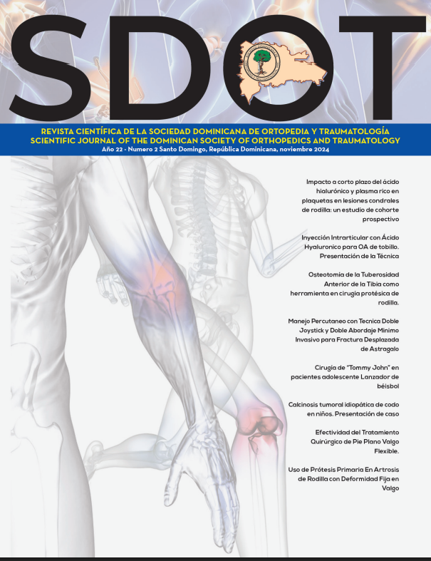 Portada Revista SDOT
